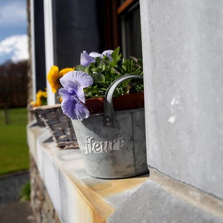 Une Parenthese En Ardenne Nollevaux ภายนอก รูปภาพ